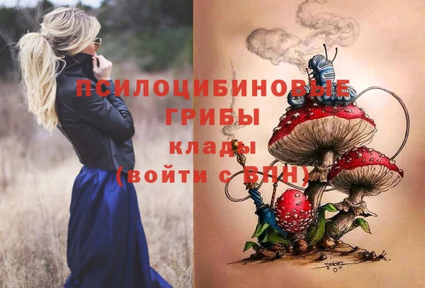 тгк Горно-Алтайск